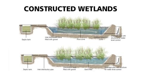 CONSTRUCTED WETLANDS Wetland Design, Wetland Architecture, Constructed Wetland Design, Constructed Wetland, Landscape Engineer, Grey Water System, Wetland Park, Ecology Design, Water System