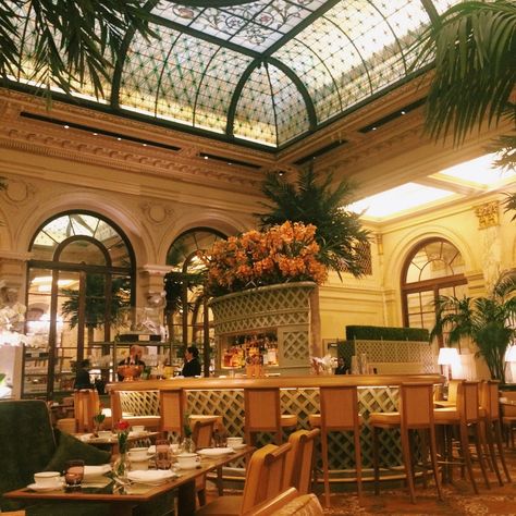 Nyc Old Money Aesthetic, Hotels Aesthetic, Tea At The Plaza, Plaza Hotel New York, Nyc Birthday, New York City Vacation, Hotel Inspiration, Nyc Hotels, New York Hotels