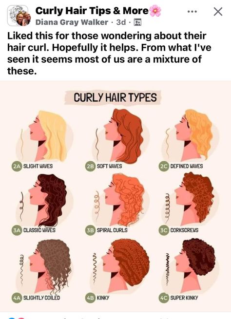 2b Hair Products, 2c3a Curly Hair, 2a Curly Hair Routine, Curly Hair Infographic, 3a Curly Hair Routine, 2b Hair, Curly Hair Problems Relatable, Hair Set, Hair Girls