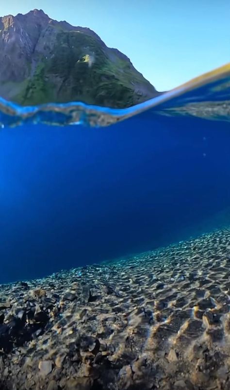 Most satisfying video I’ve ever seen before and under watergiving the sense of relaxationThis underwater video is captured perfectly the details and the sound are literally made for each otherunderwaterworld water blue relaxing peaceful perfect relaxation meditationmusic clear clearwater nature naturelovers Under Water Photography, Water Video, Road Trip Photography, Underwater Video, Trip Photography, Motion Wallpapers, Nature Videos, Ancient History Facts, Made For Each Other