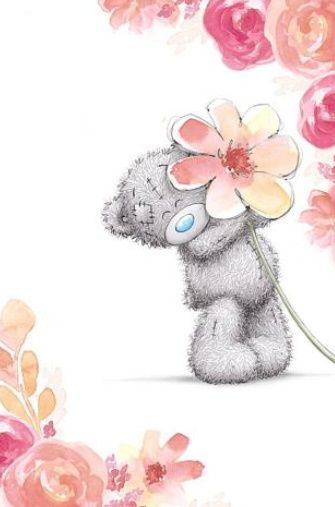 Tatty Teddy Wallpapers, Taddy Teddy, Cute Teddy Bear Pics, Teddy Bear Quotes, Rose Teddy Bear, Teddy Bear Drawing, Forever Friends Bear, Teddy Pictures, Flower Bear