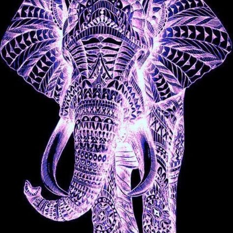 Elephant Purple Elephant, Elephant Love, Purple Reign, Purple Love, Elephant Art, All Things Purple, An Elephant, Square Diamond, Purple Rain