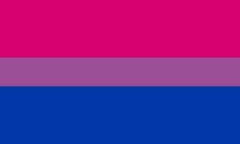 Bisexual Symbol, Different Pride Flags, Lgbtq Pride Flags, Straight Ally Flag, Gender Spectrum, Straight Ally, Star Wars Novels, Bi Flag, Bisexual Pride Flag