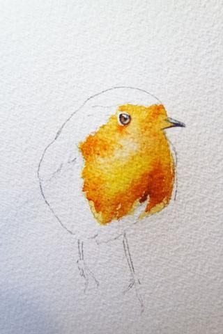 Watercolor Birds Tutorial, Bird Watercolor Paintings, A Robin, Watercolor Paintings For Beginners, Watercolor Lessons, Watercolor Paintings Easy, Watercolor Painting Techniques, Watercolor Art Lessons, Watercolor Paintings Tutorials