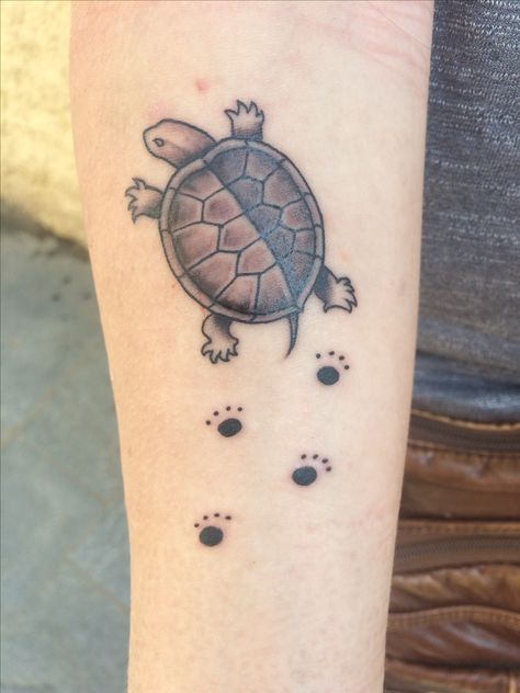 Cat And Turtle Tattoo, Painted Turtle Tattoo, Tiny Turtle Tattoo Simple, Lil Turtle Tattoo, Box Turtle Tattoo, Tiny Sea Turtle Tattoo Simple, Land Turtle Tattoo, Snapping Turtle Tattoo, Henna Tattoo Turtle