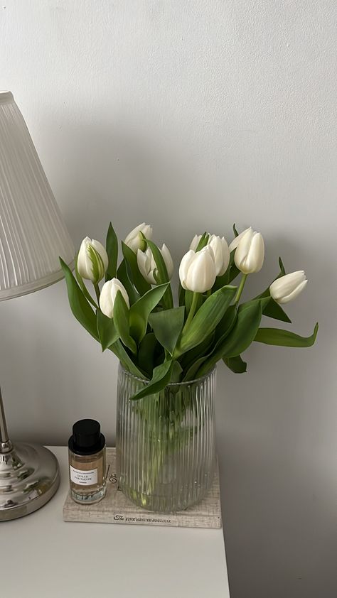 White Tulips, Tulips, Vase, Glass, Flowers, White