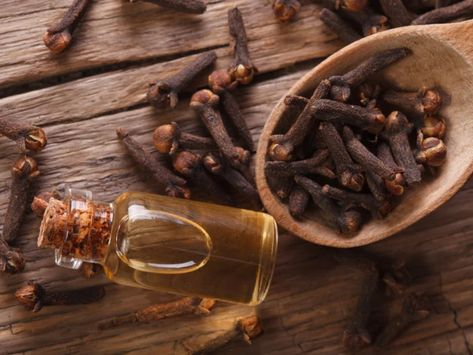 A bottle of clove oil for toothache and clove buds Clove Bud Essential Oil, Dried Cloves, Essential Oils For Nausea, Wisdom Teeth Pain, Cloves Benefits, Clove Essential Oil, Back Pain Remedies, Oil Well, Clove Bud