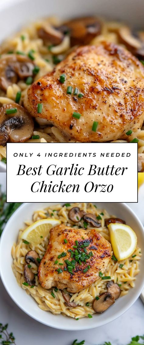 Image for Best Garlic Butter Chicken Orzo Butter Orzo Recipes, Garlic Chicken Orzo, Chicken And Orzo Recipes Healthy, Baked Chicken Orzo Recipes, Chicken With Orzo Recipes, Chicken Meatballs And Orzo, Orzo Chicken Recipes, Chicken And Orzo Recipes, Creamy Chicken And Orzo