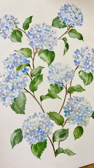 Green Flower Watercolor, Pictures To Watercolor, Blue Hydrangea Drawing, Summer Watercolour Painting, Watercolor Paint Flowers, How To Paint Watercolor Hydrangeas, Pretty Flower Paintings Easy, Doodle Watercolor Flowers, Water Colour Hydrangea