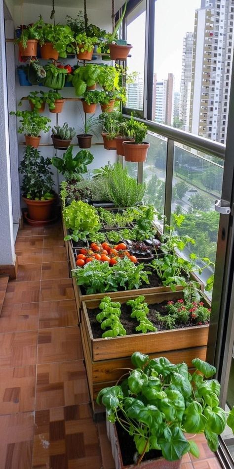 Design Patio Ideas, Apartment Vegetable Garden, Garden Ideas Patio, Patio Garden Ideas, Patio Ideas On A Budget, Patio Gardening, Indoor Vegetables, Small Balcony Garden, نباتات منزلية