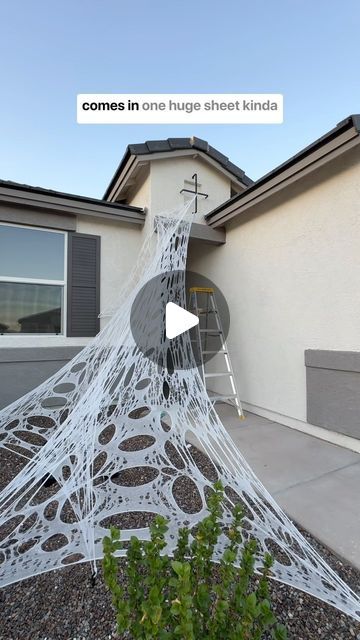 Morgan Renfro on Instagram: "I covered my entire house with spider webs for Halloween. 
comment “webs” and I’ll send you a link to what I used!

This stuff looks super realistic like a giant spider was here…. Oh wait we do have one. It’s not sticky, and doesn’t get caught or tangled up on everything while you’re trying to hang it up. This is what they use to decorate haunted houses with spider webs! It’s a lot more durable. 

#halloweendecor #spiderdecor #spiderwebs #hauntedhousedecor #diy #beefnettingforwebs #beefnettingwebs #beefnettingspiderwebs beef netting spider webs haunted house" Beef Netting Spider Web, Giant House Spider, Diy Spider Web, Spider Web Diy, House Spider, Giant Spider, Spider Webs, Halloween Spider Web, Haunted Houses