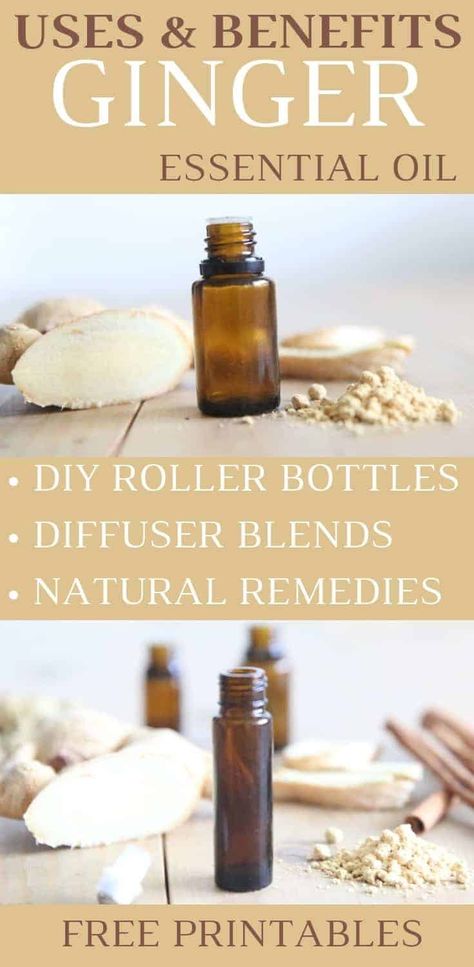 Ginger Essential Oil Highlight | Uses, Benefits, and Recipes Essential Oils For Nausea, Fennel Essential Oil, Benefits Of Ginger, Roller Bottle Recipes, Ginger Benefits, Ginger Essential Oil, Infused Water Recipes, Ginger Oil, Essential Oil Roller Bottle