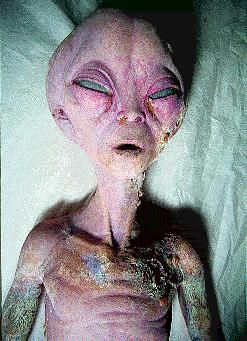 Types Of Aliens, Alien Videos, Alien Pictures, Aliens History, Alien Sightings, Alien Photos, Aliens Exist, Grey Alien, Alien Tattoo