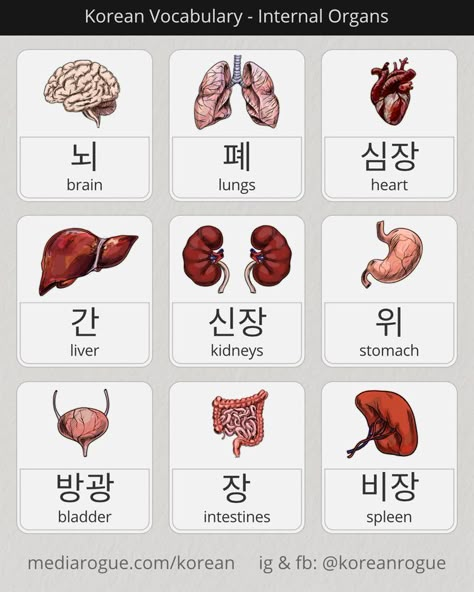 Learning Korean Grammar, Learn Basic Korean, Learn Korean Alphabet, Bahasa Jepun, Learn Hangul, Korean Vocabulary, Easy Korean Words, Learn Korea, Korean Study