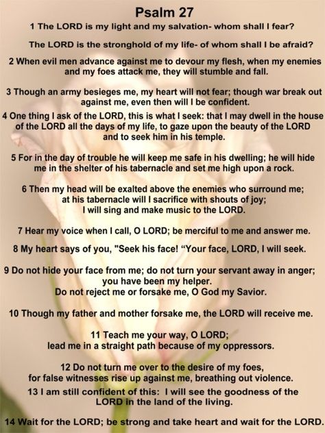 Psalm 27 Love this scripture!......well  the picture of the rose in the background! Psalm Prayers, Waiting On The Lord, Prayer Watches, Psalms 27, Marriage Rules, Bible Memorization, Psalm 56:3 Kjv, Life Verse, The Lord Is My Light