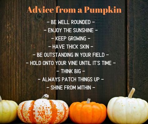 Advice from a Pumpkin Happy Boss, October Quotes, Pumpkin Dress, Holding Onto You, Thick Skin, Autumn Quotes, Enjoy The Sunshine, Hot Topics, Advice Quotes