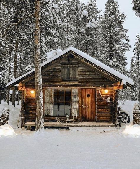 Little cabin in the woods — Steemit A Cabin In The Woods, Log Houses, Log Cabin Living, Little Cabin In The Woods, Cottage Plans, Cozy Cottages, Small Log Cabin, Cozy Cabins, Stone Cottages