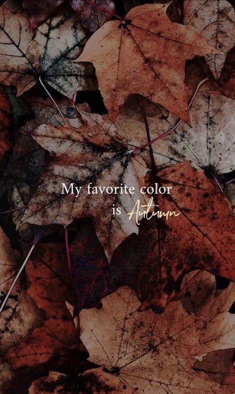 October Quotes, Autumn Girl, Fall Mood Board, Autumn Magic, Fall Background, Autumn Quotes, Autumn Scenery, My Favorite Color, Fall Feels