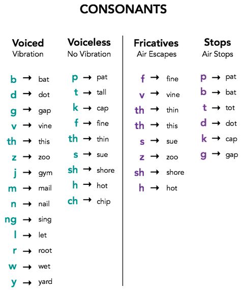 Consonants Chart, Phonetic Chart, Speech Language Pathology Grad School, Phonetics English, Linguistics Study, Speech Therapy Tools, School Speech Therapy, Phonics Rules, Teaching English Grammar