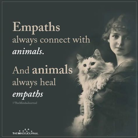 Empaths always connect with animals. And animals always heal empaths Empath Traits, Empath Abilities, Intuitive Empath, Sensitive People, Highly Sensitive, Infp, Empath, Infj, A Cat