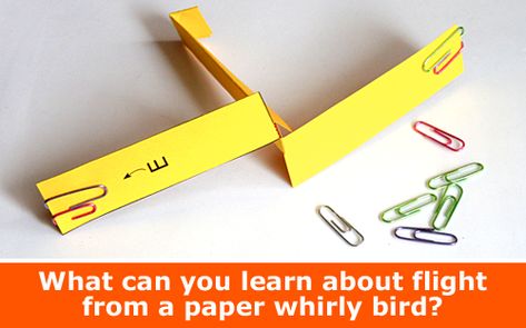 Explore Aerodynamics of Flights with a Paper Whirly Bird Helicoopter / Physics family STEM activity Flight Science Experiments, Flight Stem Activities, Flight Activities, Ks3 Science, Preschool Steam, Spring Stem, Homeschool Coop, Flight Lessons, Bird Print Fabric