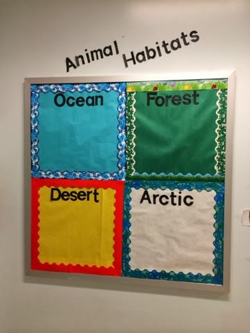 Habitats Bulletin Board, Habitat Activities, Animal Habitat, Interactive Bulletin Boards, 1st Grade Science, Drawing Animals, Animal Science, Student Drawing, Kindergarten Science