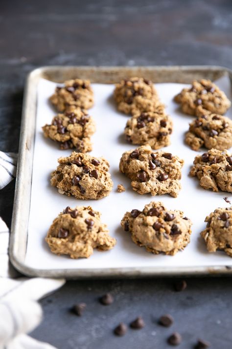 Pumpkin Oatmeal Chocolate Chip Cookies Pumpkin Oatmeal Chocolate Chip, Pumpkin Oatmeal Chocolate Chip Cookies, Zucchini Chocolate Chip Cookies, Chocolate Chip Walnut Cookies, Eggless Chocolate Chip Cookies, Paleo Chocolate Chip Cookies, Banana Chocolate Chip Cookies, Mint Chocolate Chip Cookies, Chocolate Chip Pecan Cookies