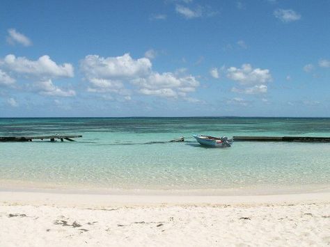 Did you know Guadeloupe is shaped like a butterfly? Morph into your next vacation in style with Sailo! #sailo #sailoboats #Guadeloupe 🇬🇵 https://www.sailo.com/discover-boating/destination-guides/sailing-in-guadeloupe/ Gros Morne, Jacques Cousteau, Mangrove Swamp, Tourist Center, Vacation Goals, Sailing Trips, Dream Vacations Destinations, Caribbean Beaches, Beach Bar