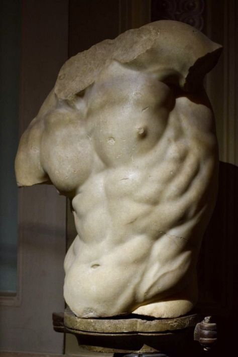 Male Statue Greek, Greek Statue Torso, Greek Statues Male, Male Torso Reference, Torso Sculpture, Ancient Greek Sculpture, Anatomy Sculpture, Classic Sculpture, Greek Statues