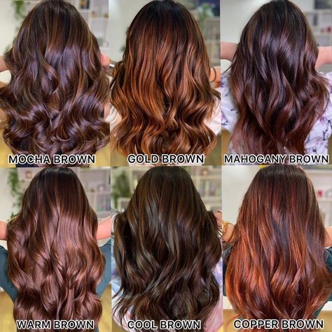 Homemade Hairstyles, Balayage Curls, Chocolate Brown Hair Color Ideas, Mocha Color Hair, Hair Color Swatches, Mahogany Hair, Hair Color Mahogany, Mocha Hair, Brown Hair Color Ideas