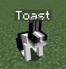 The Rabbit, Nintendo Games, Chevrolet Logo, Minecraft, Toast, Nintendo, Art