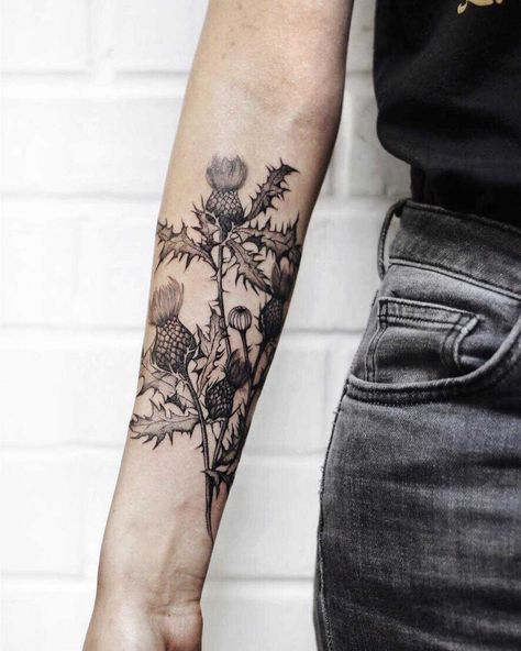 Mole Tattoo Coverup, Thistle Tattoo Simple, Foraging Tattoo, Wolfsbane Tattoo, Meadow Tattoo, Hemlock Tattoo, Earthy Tattoos Nature, Thistle Tattoo Black, Botany Tattoo