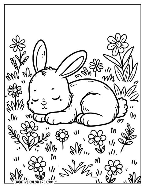 Sleeping bunny coloring page on a field of flowers. Dive into our curated collections of free, high-quality PDF coloring pages perfect for kids and adults alike. From seasonal delights that Girly Coloring Pages, Rabbit Coloring Pages, Spring Coloring Sheets, Rabbit Coloring, Window Paintings, Bunny Coloring, Monster Truck Coloring Pages, Free Coloring Pages For Kids, Mermaid Coloring Book