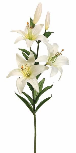 Lilly Flower, Lily Garden, Beautiful Flowers Photography, Beautiful Flowers Garden, Watercolor Flowers Paintings, White Lilies, Beautiful Flowers Pictures, Silk Flower, Botanical Flowers