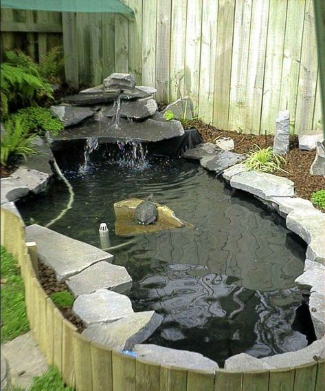 Tartaruga Habitat, Above Ground Pond, Turtle Aquarium, Koi Pond Design, Cottage Patio, Turtle Homes, Turtle Habitat, Pond Garden, Garden Pond Design