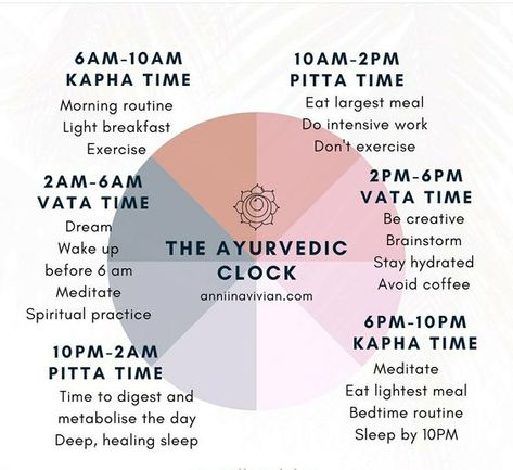 Ayurvedic Basics – smile and breathe Yogi Diet, Circadian Clock, Cycling Food, Ayurveda Vata, Ayurveda Diet, 12 Dimensions, Ayurvedic Therapy, Ayurveda Life, Chakra Health