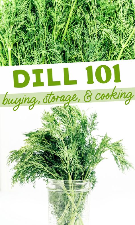 Drying Fresh Herbs, Food Scientist, Healthy Sweets Recipes, Fresh Dill, Food For A Crowd, Healing Herbs, Garden Boxes, Healthy Sweets, Healthy Ingredient