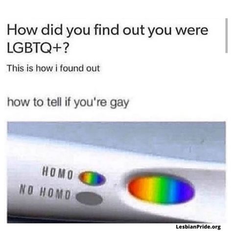 Humour, Gay Quotes, Meme Joke, Pride Quotes, Lgbtq Quotes, Lgbt Quotes, Lgbt Humor, Lgbt Memes, Lgbtq Funny