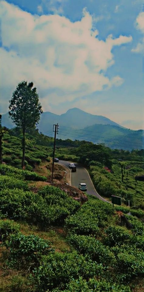 It has the mesmerizing view of clouds with beautiful mountains and tea plantations . Munnar Hill Station, Vattavada Munnar, Kerala Tourism, Munnar, Profile Pictures Instagram, Indian Aesthetic, Hill Station, Profile Pictures, Kerala