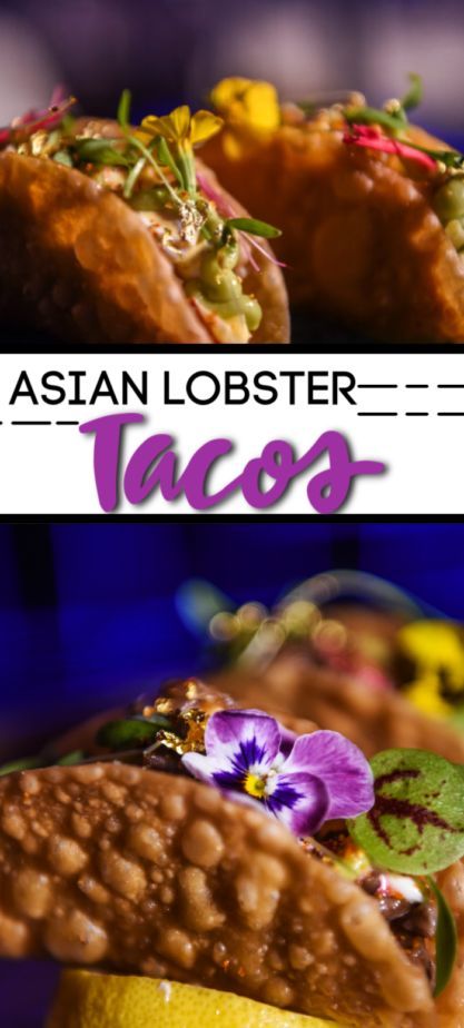 An amazing taco recipe you will seriously love! These yummy Asian Lobster Tacos are filled with fresh lobster, gold flakes and edible flowers! They are so simple and easy! Save this lobster appetizer recipe in your Easy Food Recipes board! #asian #tacos #lobstertacos #uniquefood #uniquedish Lobster Appetizers, Asian Tacos, Lobster Tacos, Fresh Lobster, How To Cook Lobster, Slow Cooker Tacos, Taco Recipe, Lobster Recipes, Sweet Chilli Sauce