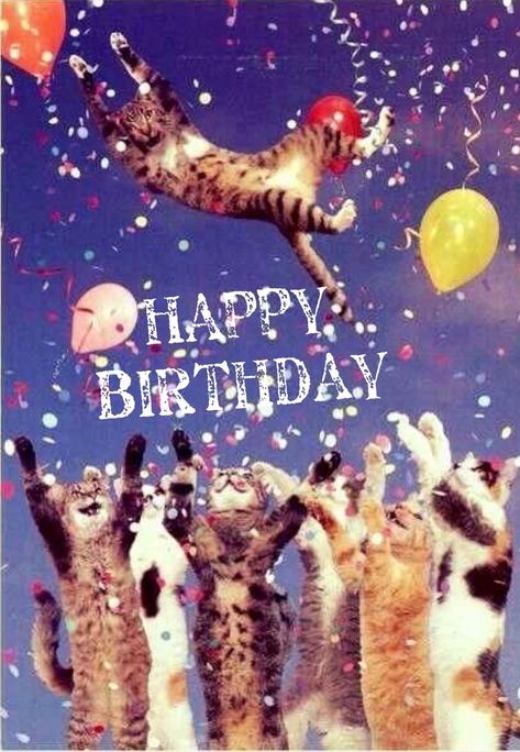 Cat Images, Kitty Party, Funny Happy Birthday, God Jul, Birthday Meme, Cat Party, Happy Birthday Quotes, Happy B Day, Cat Birthday