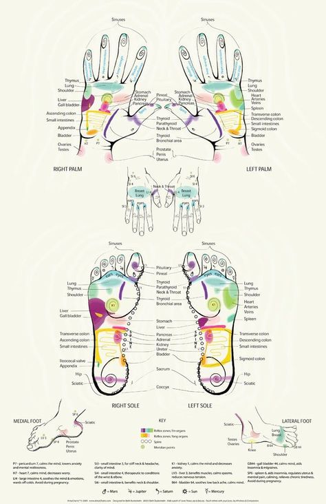 Acupuncture Points Chart, Healing Reflexology, Meridian Points, Foot Reflexology Massage, Hand Reflexology, Reflexology Chart, Body Connection, Acupressure Massage, Reflexology Massage