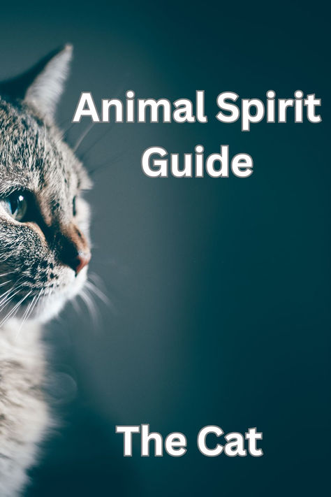 Animal spirit guide the cat speaks about wisdom and timing; it foretells the courage that is present within to enabling you to explore the unknown. Animal Empath, Cat Spirit Animal, Pagan Life, Cat Spirit, Animal Spirit Guide, Animal Spirit Guides, Cat Power, Animal Spirit, Power Animal