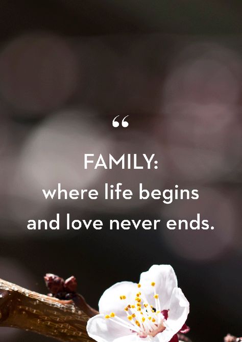 Dinner Quotes Family, Family Quotes In English, Family Picture Quotes Instagram, Family Moments Quotes, Family And Flowers Quotes, Blessed With My Family Quotes, Love Family Quotes Blessed, Family Quotes Importance Of Hindi, Family Quotes Blessed