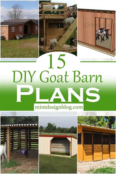 Goat Barn Plans, Goat Shelters, Goat Playground, Goat Shed, Goat Pen, Barn Layout, Livestock Shelter, Goat Shelter, Shed Floor Plans