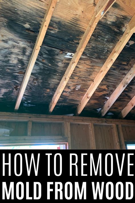 Learn how to safely remove mold from wood with our step-by-step guide. Discover tips on cleaning and preventing mold to protect your home and health. Effective for indoor and outdoor wood surfaces. Mold Remover On Wood, Remove Mold From Wood, Diy Mold Remover, Old Wood Windows, How To Remove Mold, Remove Black Mold, Remove Mold, Wood Window Frame, Cleaning Mold