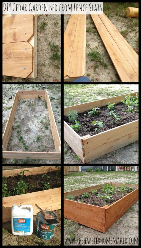 Building A Garden, Cedar Raised Garden Beds, Cedar Garden, Building A Raised Garden, Diy Raised Garden, Raised Garden Beds Diy, English Rose, Garden Boxes, Garden Bed