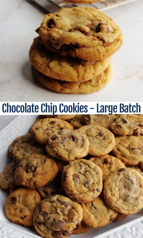 Everyday Cookies, Soft Chewy Chocolate Chip Cookies, Home Chocolate, Welcome To The Neighborhood, The Best Chocolate Chip Cookies, Choco Chip Cookies, Best Chocolate Chip Cookies Recipe, Best Chocolate Chip Cookies, Best Chocolate Chip