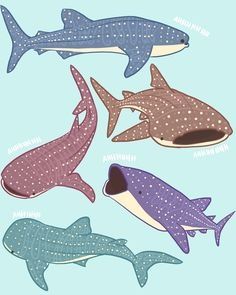 Whale shark Croquis, Whale Shark Drawing, Shark Whale, Shark Painting, Whale Drawing, Ocean Illustration, Shark Drawing, Look Wallpaper, Whale Sharks