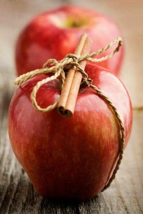 Apple Picking Season, Party Tray, Mince Pies, Snowy Winter, Harvest Festival, Apple Picking, Healthy Fruits, Apple Tree, Cinnamon Apples